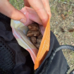 Kycklinghjärta i belöningsfickan är en favorit. Zip-påse gör det enkelt att förvara godiset för bästa hållbarhet.
