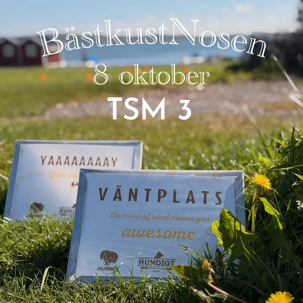 Bild på Officiell tävling NW 3 - Bästkustnosen 14