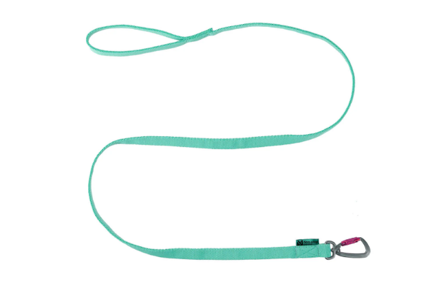Bungee leash från Non-stop dogwear i aqua med expander hela vägen.