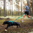 Lycklig hund drar sin matte i skogen och det aqua-färgade bungee kopplet från non-stop är utdraget.