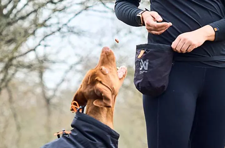 Bild för kategori Belöningsväska & hundträningsväst