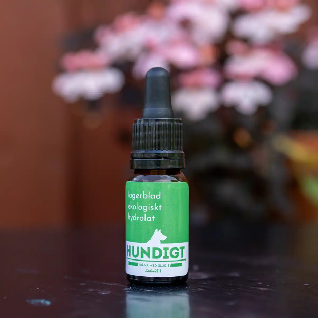 Vildväxande hydrolat till nosework kommer i en brun flaska med pipett.