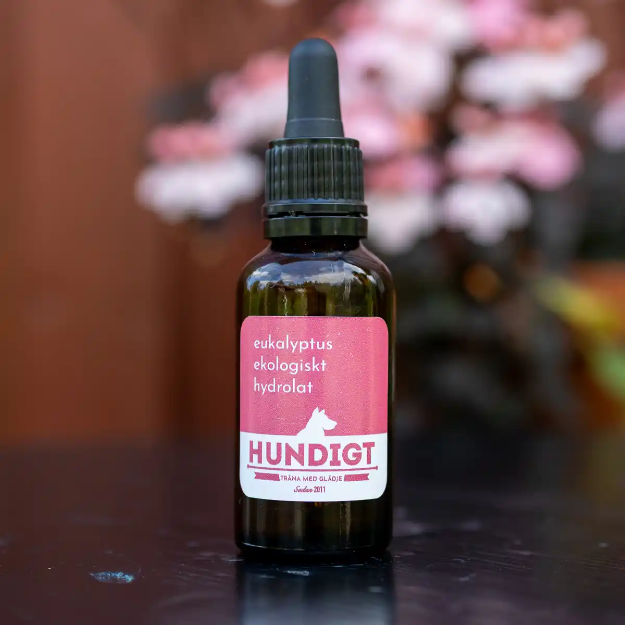 Hydrolat vildväxande eukalyptus till nosework i 30 ml brun flaska.
