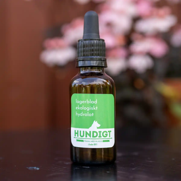 Vildväxande lagerblad hydrolat till Nosework i 30 ml brun flaska.