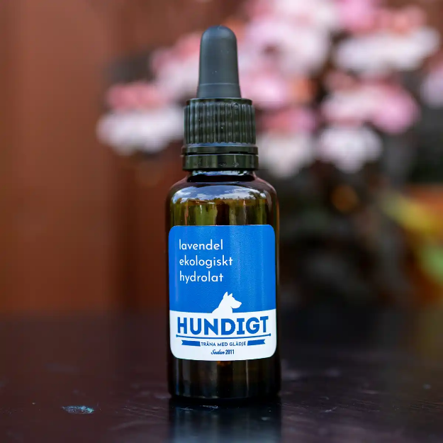 Hydrolat vildväxande lavendel till nosework i 30 ml brun flaska med pipett.