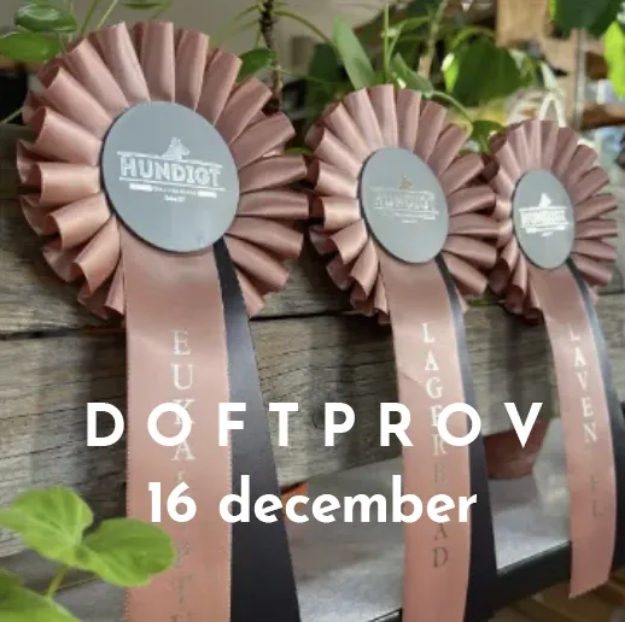 Bild på Officiellt doftprov 16/12 - eukalyptus, lagerblad, lavendel