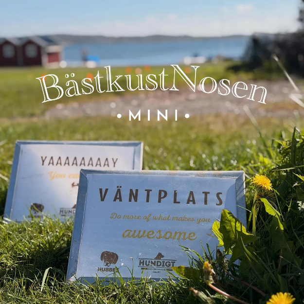 TSM1 Bästkustnosen Mini