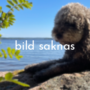 Bild för kategori Hundfoder