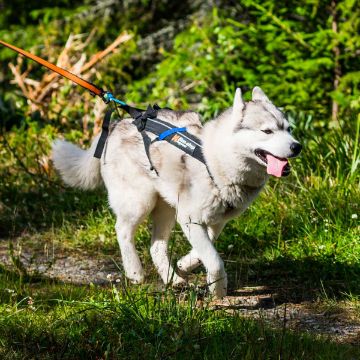 Non-Stop Dogwear Freemotion Harness Sele