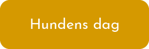 Hundens dag på Hundigt