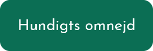 Hundigts omnejd