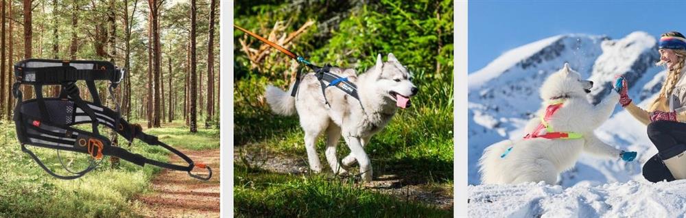 Non-stop Dogwear produkter