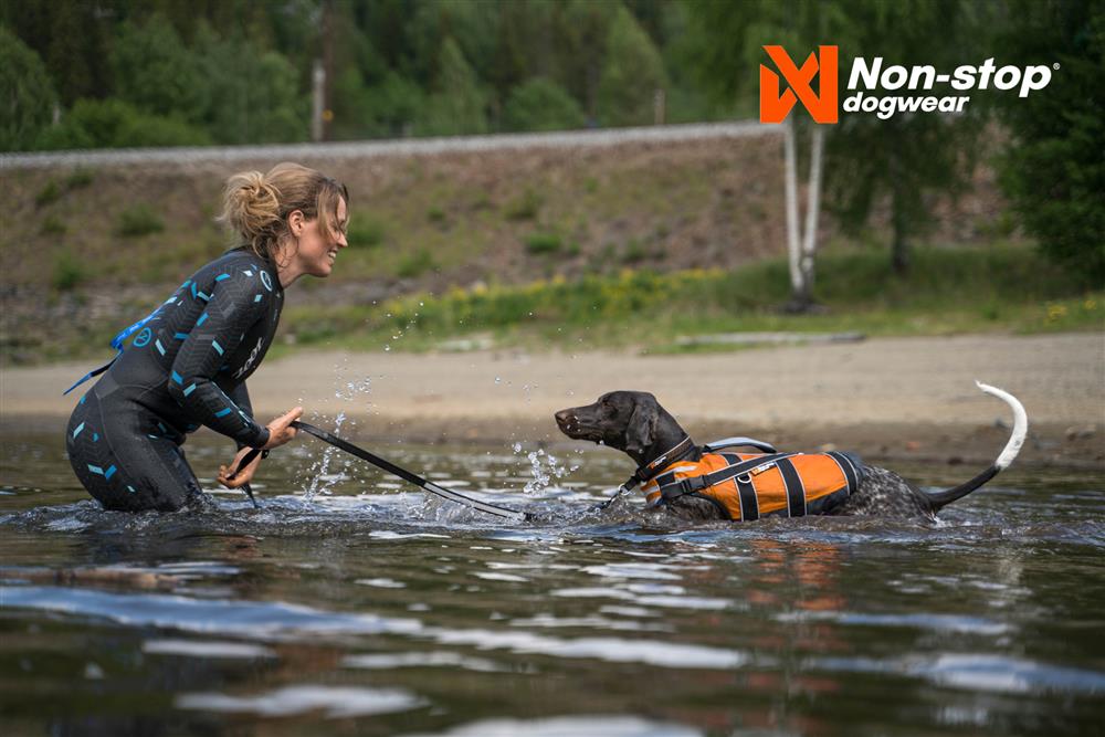 Hund med flytväst i vattnet. 