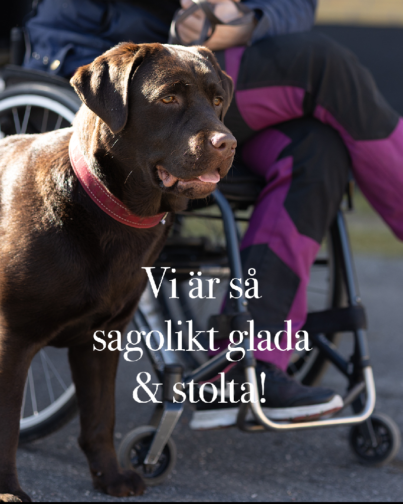 Årets arrangör avseende tillgänglighet