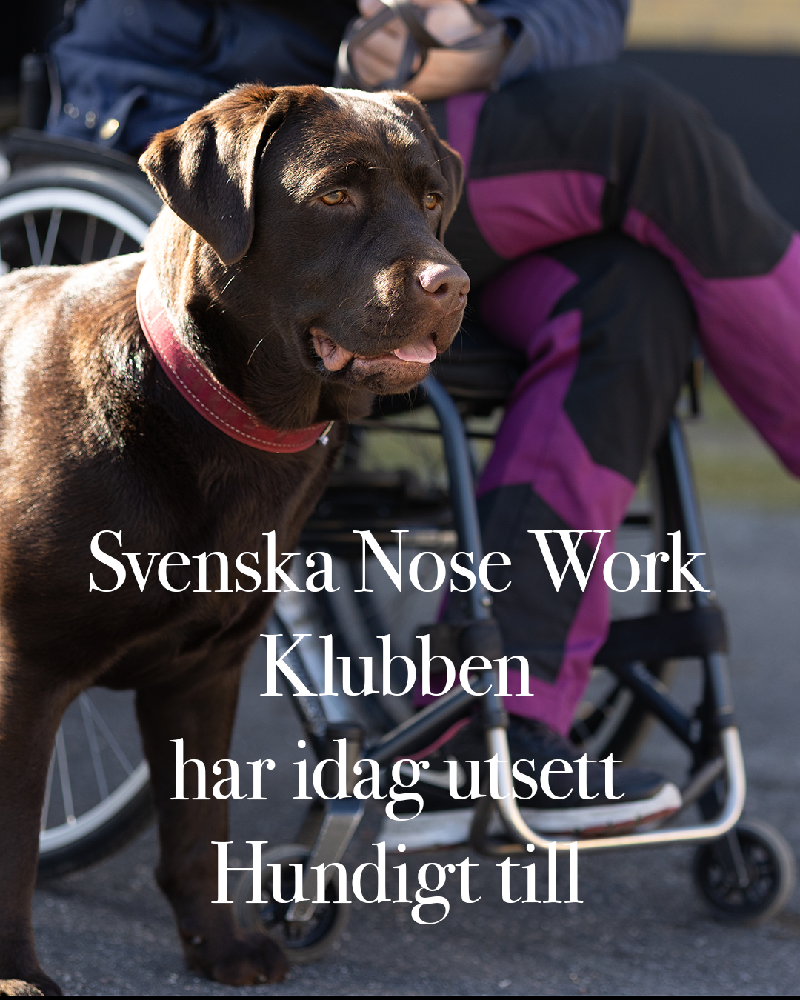 Årets arrangör avseende tillgänglighet utsedd av SNWK